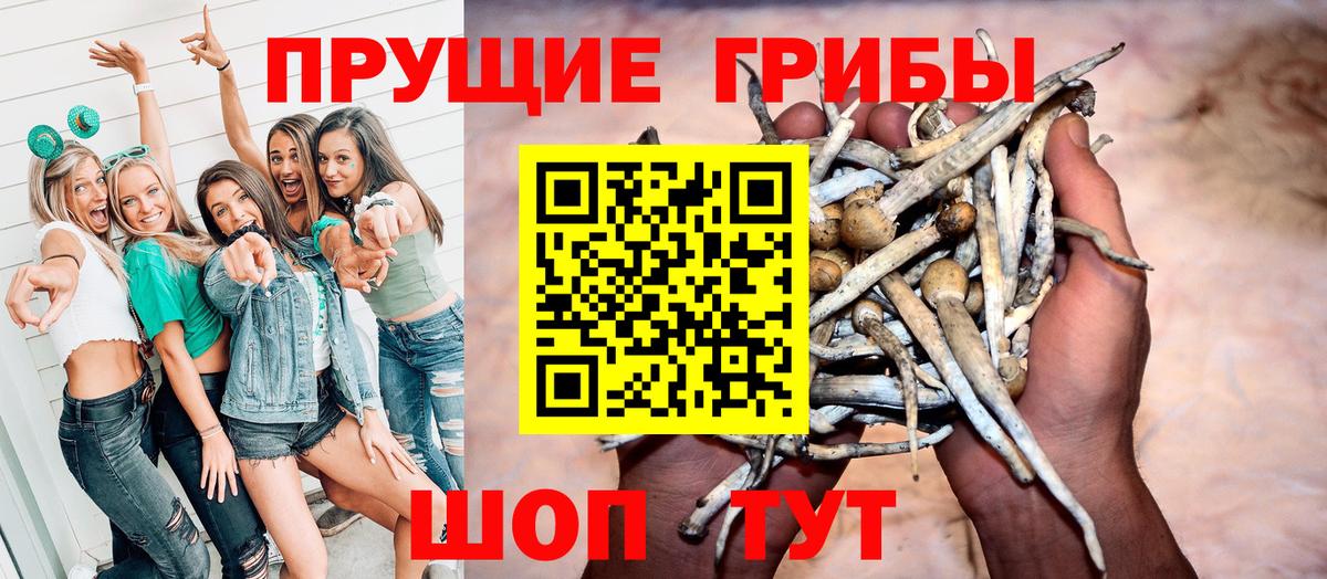 Галлюциногенные грибы прущие грибы Ханты-Мансийск