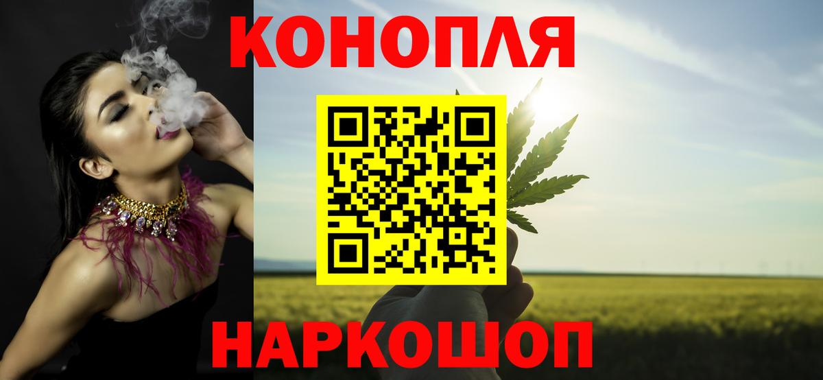 Конопля гибрид Ханты-Мансийск